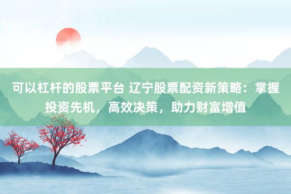 可以杠杆的股票平台 辽宁股票配资新策略：掌握投资先机，高效决策，助力财富增值
