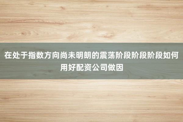 在处于指数方向尚未明朗的震荡阶段阶段阶段如何用好配资公司做因