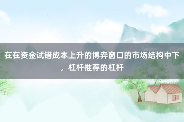 在在资金试错成本上升的博弈窗口的市场结构中下，杠杆推荐的杠杆