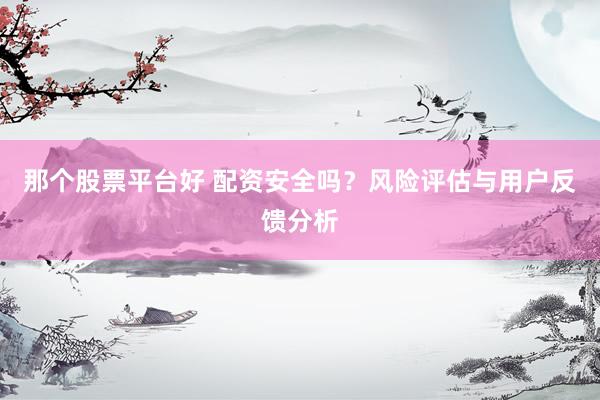 那个股票平台好 配资安全吗？风险评估与用户反馈分析