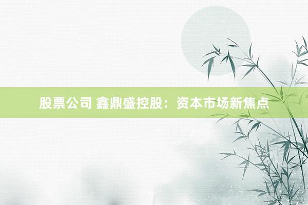 股票公司 鑫鼎盛控股：资本市场新焦点