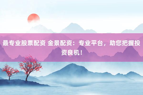 最专业股票配资 金景配资：专业平台，助您把握投资良机！