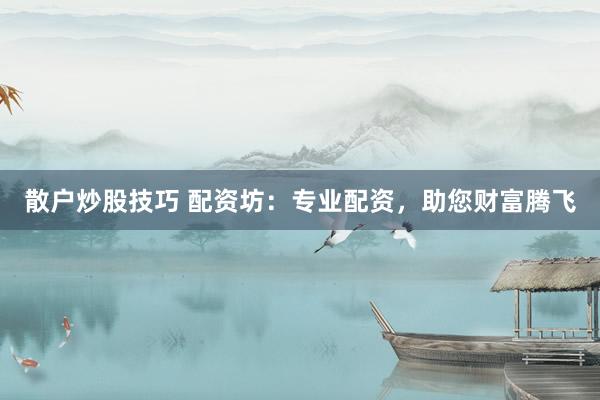 散户炒股技巧 配资坊：专业配资，助您财富腾飞