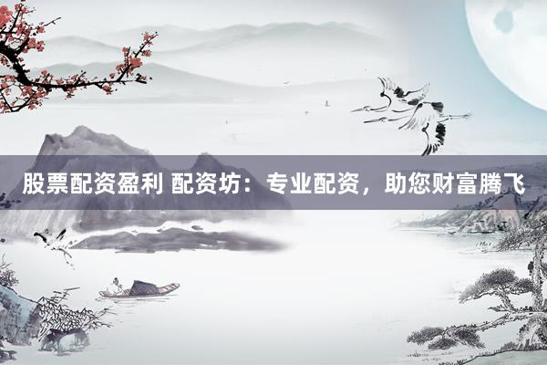 股票配资盈利 配资坊:专业配资,助您财富腾飞