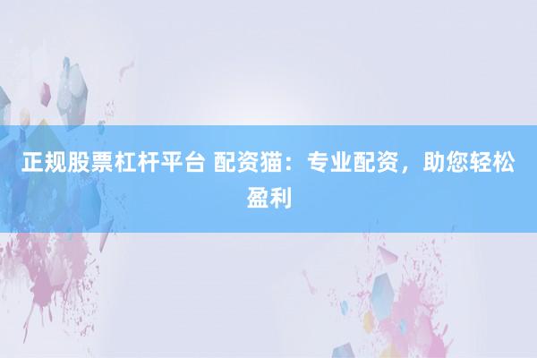 正规股票杠杆平台 配资猫：专业配资，助您轻松盈利