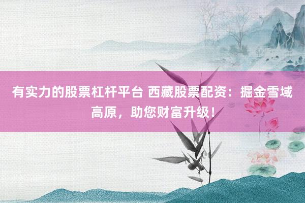 有实力的股票杠杆平台 西藏股票配资：掘金雪域高原，助您财富升级！