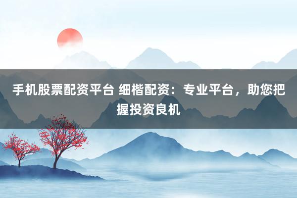 手机股票配资平台 细楷配资：专业平台，助您把握投资良机