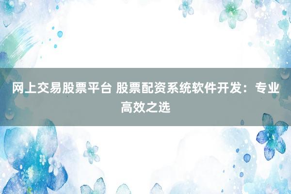 网上交易股票平台 股票配资系统软件开发：专业高效之选
